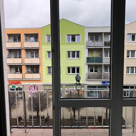 Apartament Kosciuszki 말보르크 외부 사진